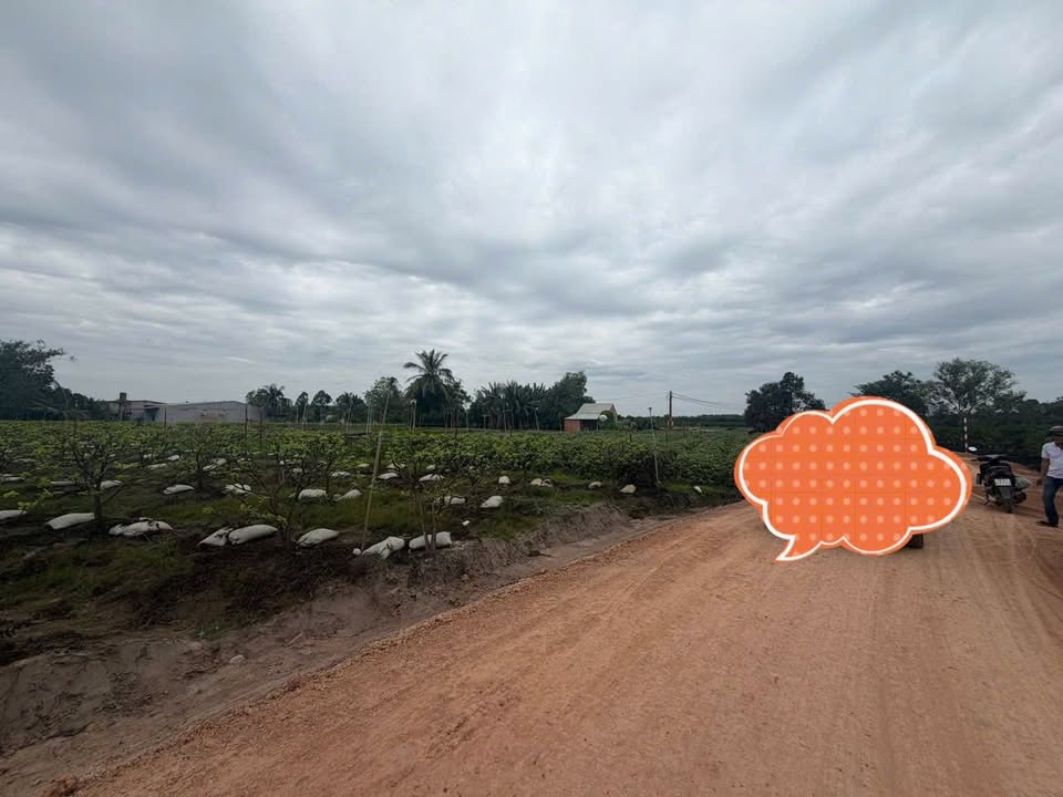 Đất nền Suối Đá Dương Minh Châu 250m² - Pháp lý rõ ràng