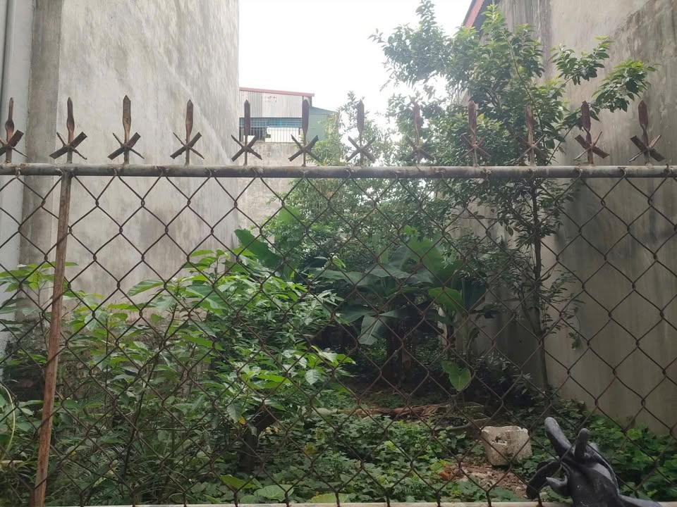 Bán Đất 85m² Dương Đình Nghệ, TP Thanh Hóa - Sổ Vuông Giá Tốt