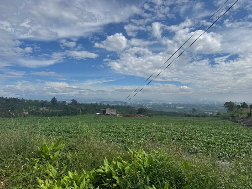 Đất Vườn Lâm Hà - 2000m² Sổ Đỏ, Mặt Tiền 20m Đường Bê Tông