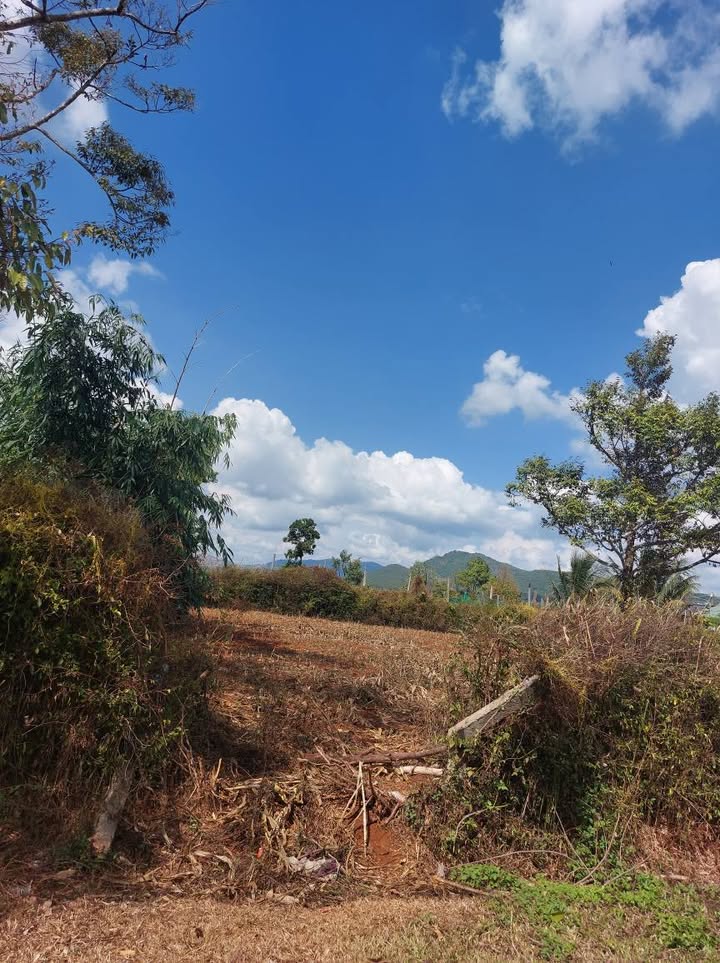 Bán Đất Vàng Thôn 1 Tiên Sơn, Pleiku - 693m² Giá Tốt, Gần Trường Học