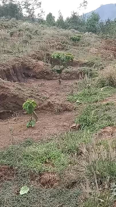 Đất nền Đắk Tô 1714.8m² - Sổ đỏ chính chủ, sẵn sàng phát triển!