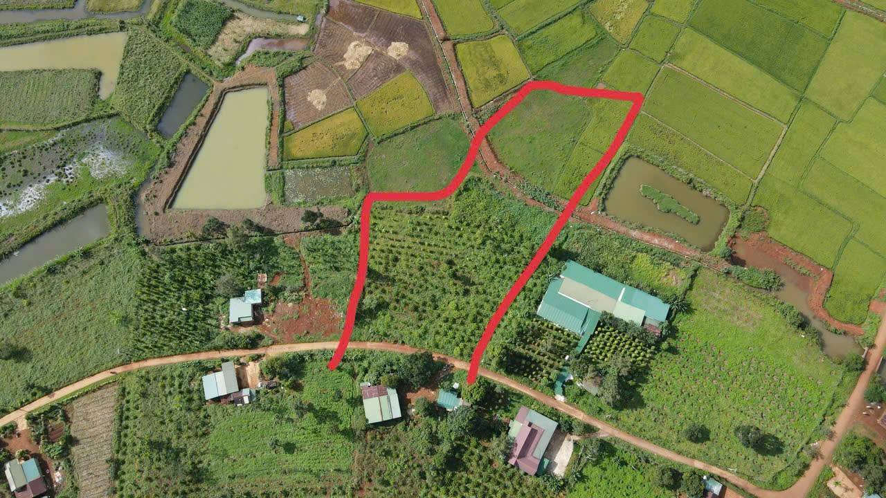 Bán Đất Nền 3600m² Đắk Lắk - View Ruộng Thoáng Đãng, Sẵn Sổ Đỏ