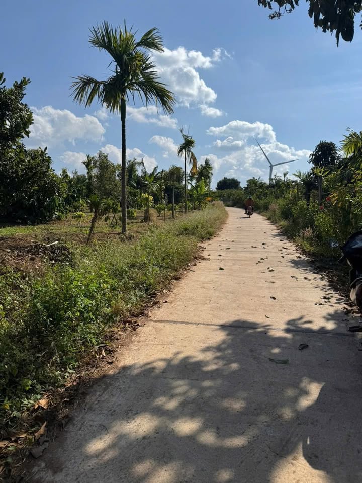 Bán Đất Vườn 1490m² Sát Trường Hùng Vương, Buôn Ma Thuột - 800 Triệu