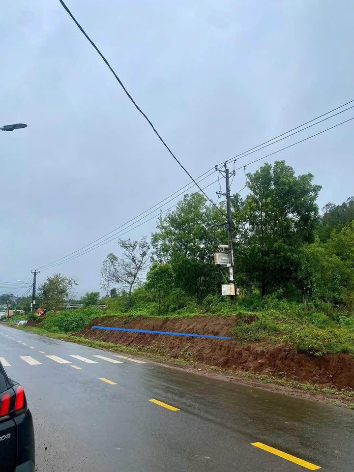 Đất nền Buôn Ma Thuột 1480m² - Sổ đỏ chính chủ, hai mặt tiền!