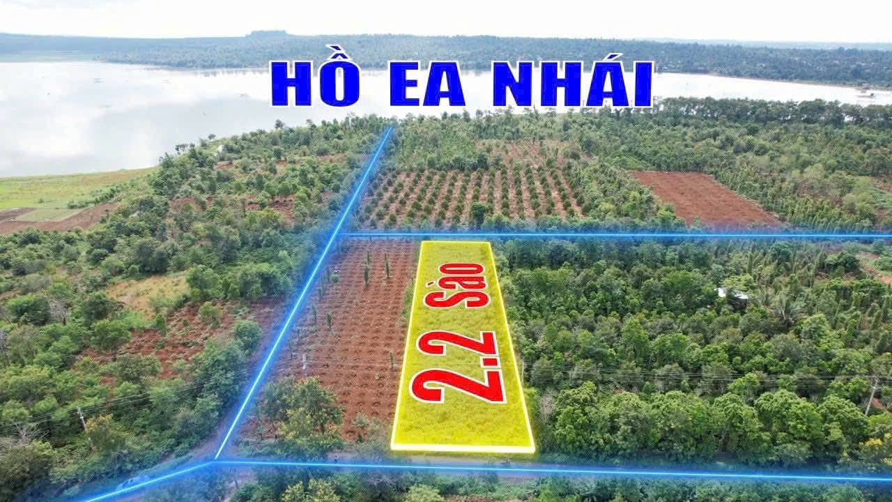 Đất nền Ea KNuec, Krông Pắc 2200m² – Đường to ô tô, tiềm năng sinh lời!