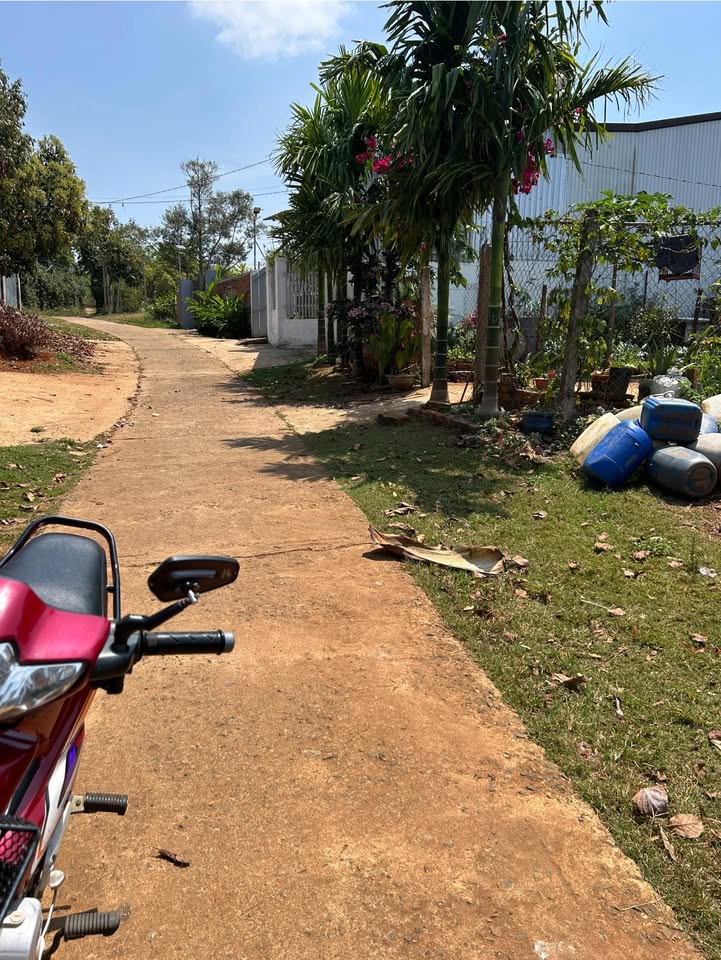 Bán Gấp Đất Buôn Hồ 300m² - Đường Bê Tông, Gần QL14 - Giá 2.4 Tỷ