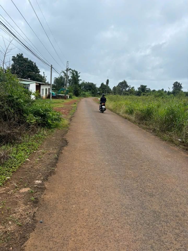 Đất nền Đắk Wer 3500m² - Tiềm năng tăng giá vượt trội!