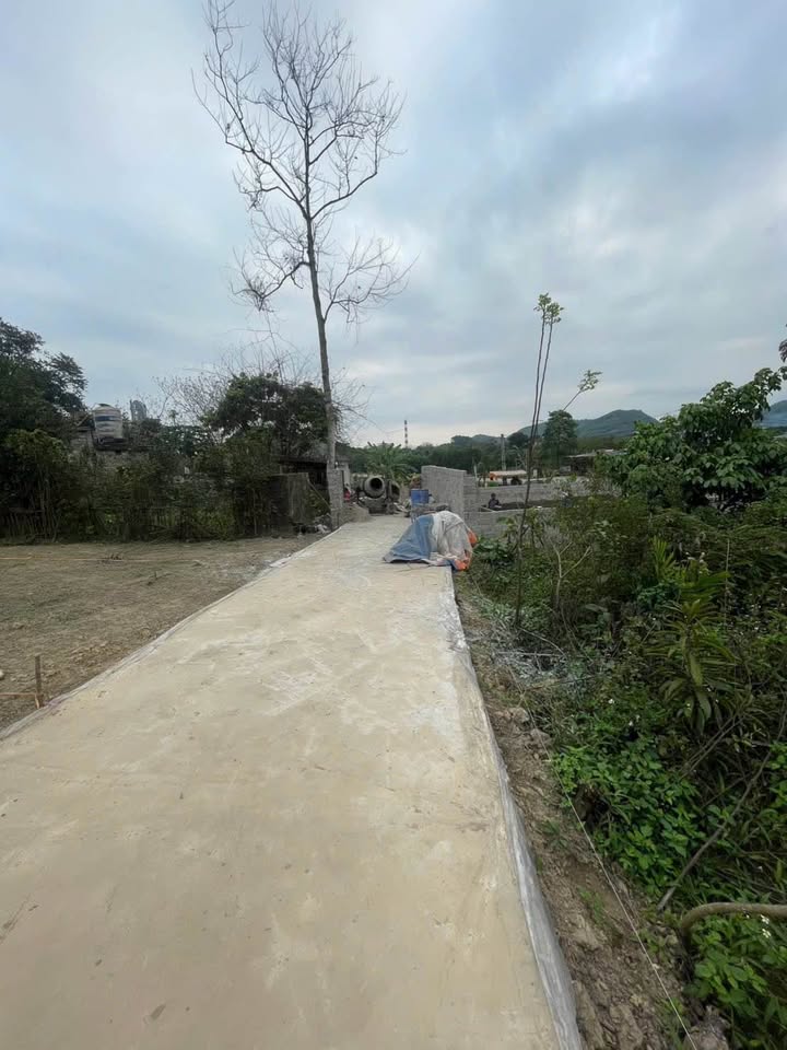 Đất thổ cư 90m² mặt tiền 5.2m, Phường Thịnh Đán, Thái Nguyên - Chỉ 4xx triệu