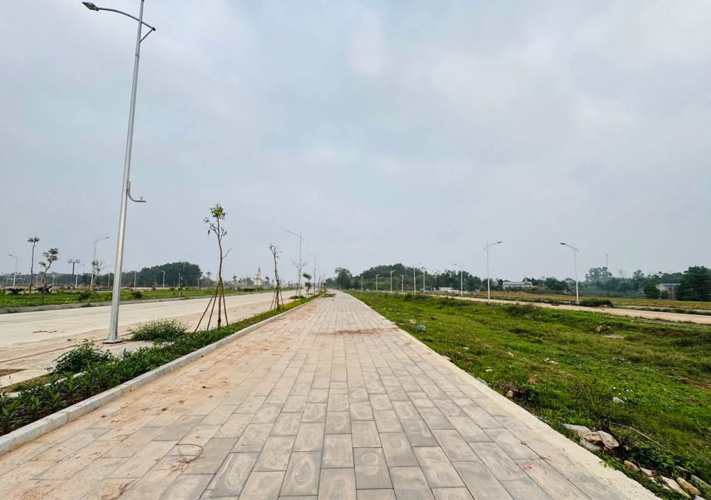 Bán Đất Nền Mặt Tiền Đường Bắc Sơn Kéo Dài, Thái Nguyên - 413m²