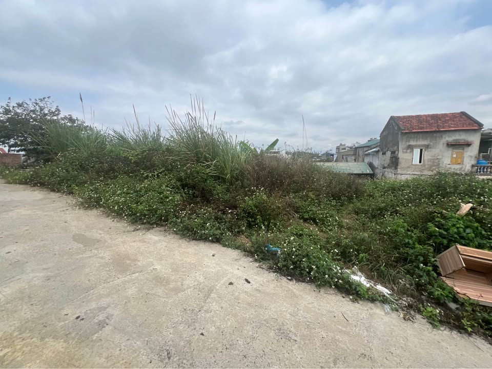 Đất nền Hà Lầm, Hạ Long 65m² - Sổ đỏ chính chủ, 750 triệu!