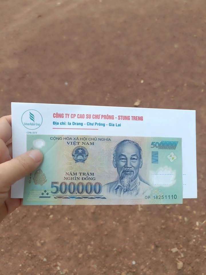 Đất nền Thôn 4, Thiện Hưng 2400m² - Giá đầu tư tốt!