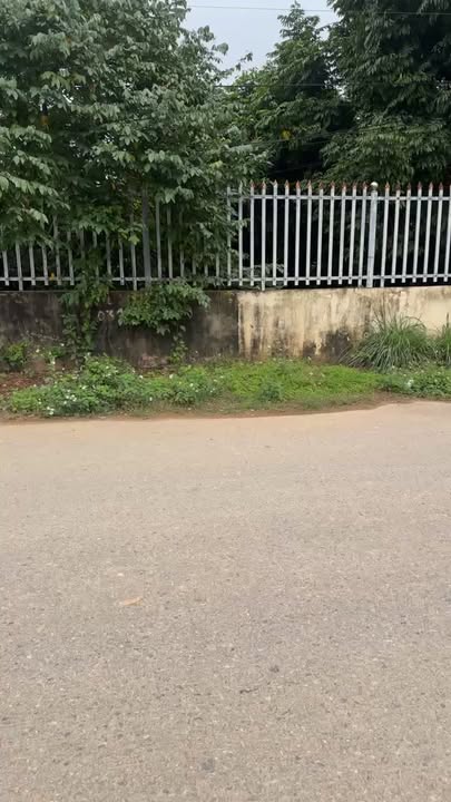 Đất Nền Lục Nam 110m² - Mặt Tiền Rộng Kinh Doanh Tốt