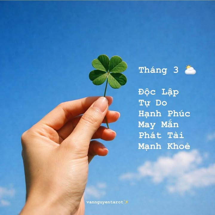 Đất nền Hoàng Diệu Đà Nẵng 203m² - Tiềm năng tăng giá vượt trội!