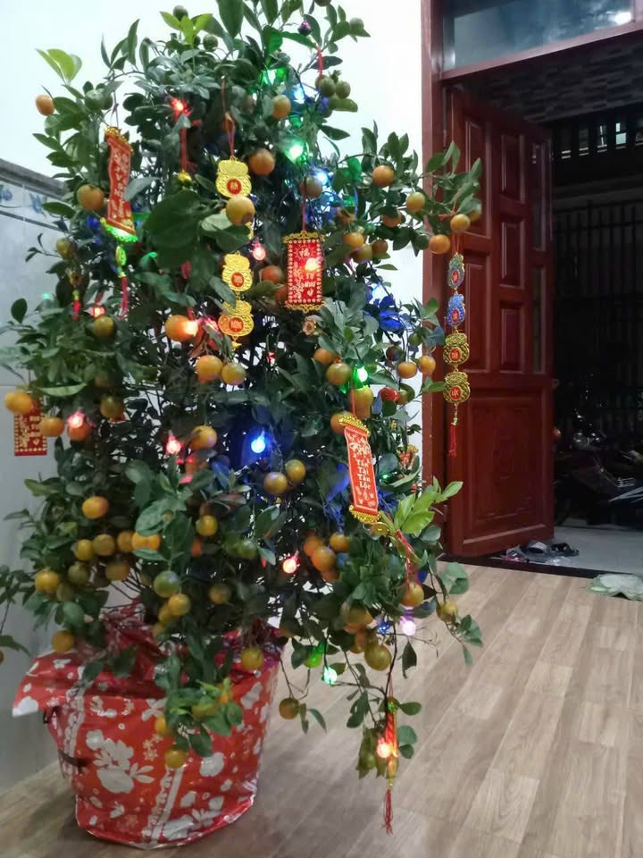 Nhà Chính Chủ 62m² Đông Chiêu, Dĩ An - Sổ Chung Sẵn Sàng Giao Dịch