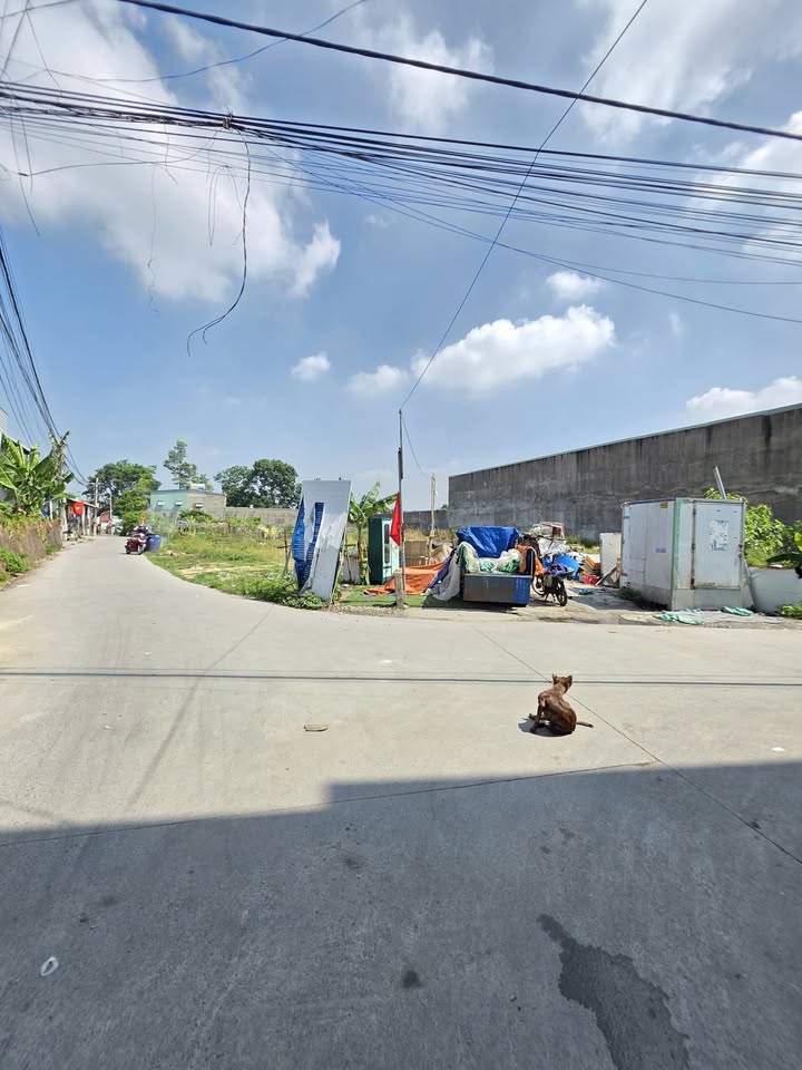 Bán Đất MT Bình Chuẩn 17, Thuận An - Lô Góc 293m² Giá 5.2 Tỷ