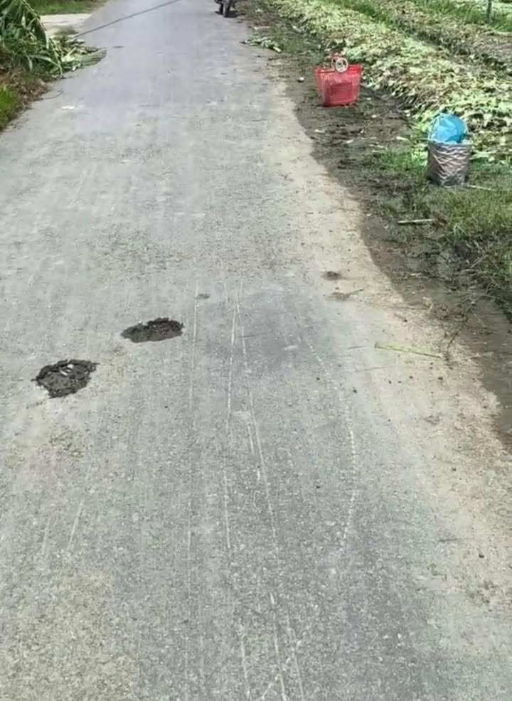 Đất Nền F0 Gò Công - 200m² Sổ Hồng Thổ Cư, Giá 660 Triệu