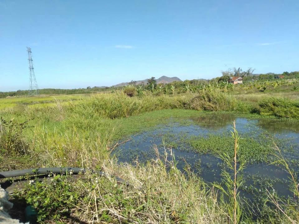 Đất Đắk Lắk 9600m² Xã Ea M'Dróh - Sổ Đỏ Sẵn Sàng, Giá Đầu Tư 1.36 Tỷ