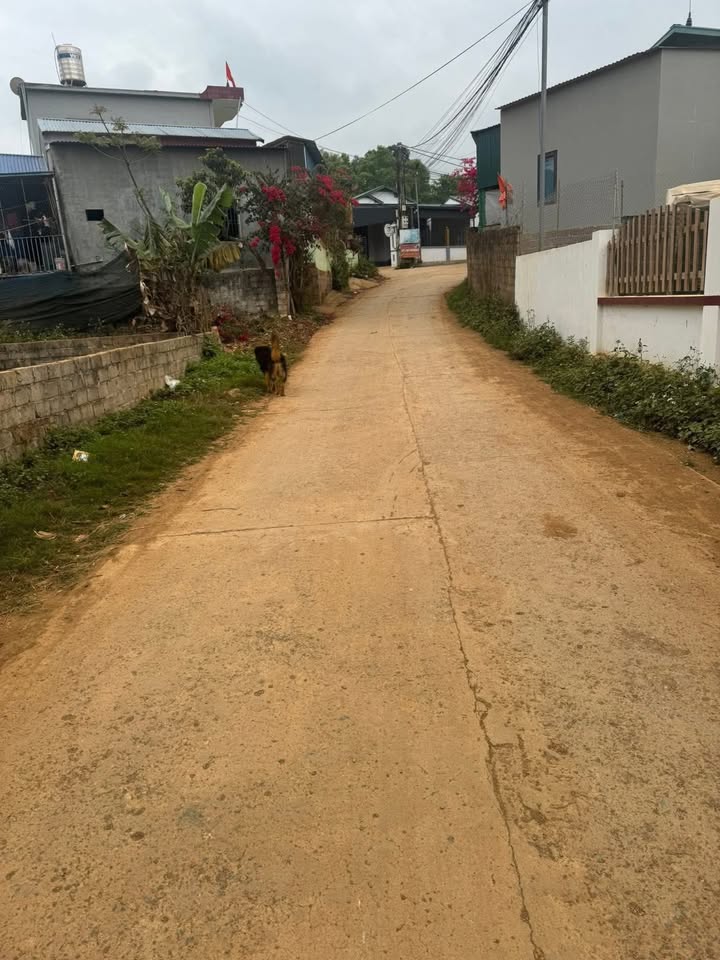 Đất nền Bản Búa Mộc Châu 67m² giá 1.25 tỷ - Sổ đỏ chính chủ!