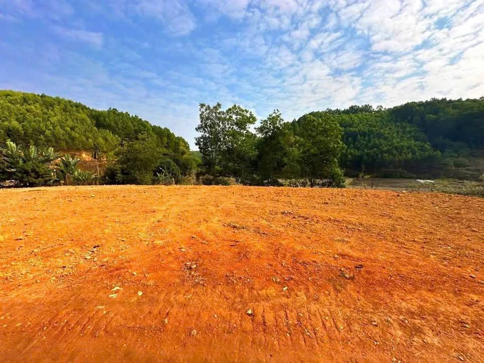 Đất nền Văn Hán, Đồng Hỷ 500m² chỉ 300 triệu - Sổ đỏ chính chủ!