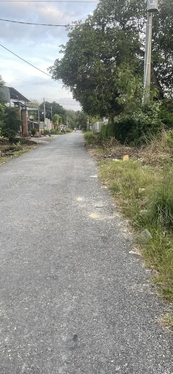 Đất Nền Tánh Linh 20100m² - Sổ Hồng Chính Chủ, Giá Tốt