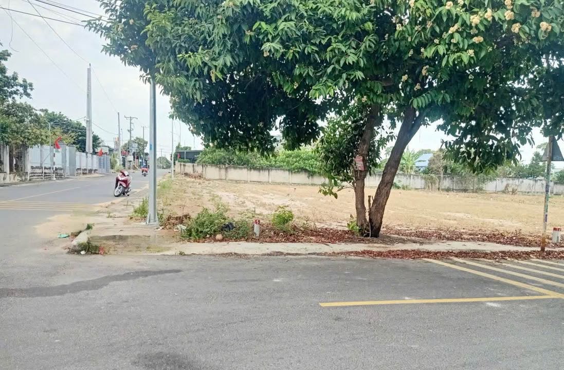 Đất Lô Góc 2 Mặt Tiền Tam Phước, BR-VT - 197.8m² Sẵn Sàng Đầu Tư