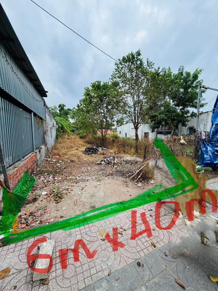 Đất Mặt Tiền Võ Thị Sáu, Bà Rịa - 234m² Kinh Doanh Đắc Lợi