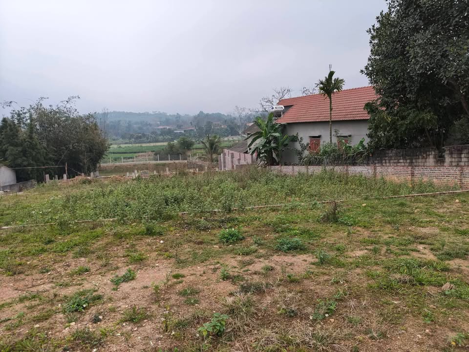 Đất nghỉ dưỡng Ba Vì 300m² 2 tỷ - Sổ đỏ chính chủ