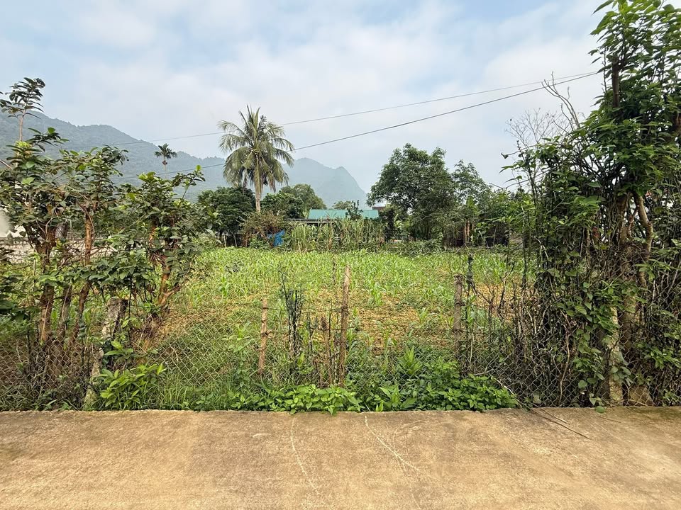 Đất nền Yên Trị, Yên Mô 200m² - View hồ, không khí trong lành!