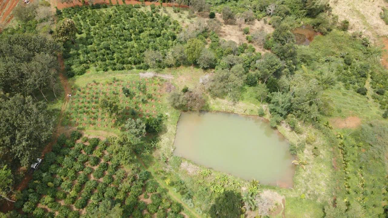 Bán 9 Sào Đất Đỏ Nghĩa Tân, Đắk Nông - View Đồi Chè, Có Ao Cá 1000m² Giá 2.2 Tỷ