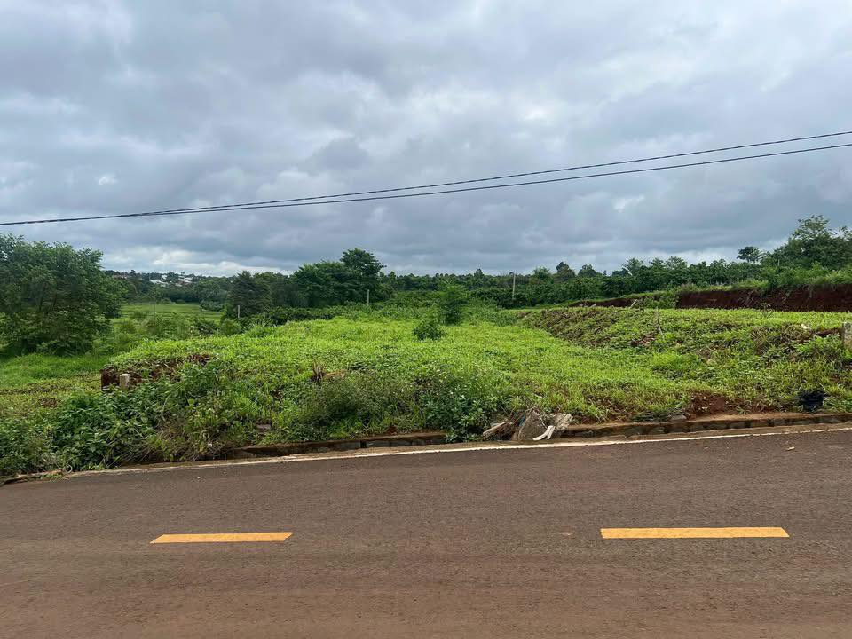 Đất Nền Ia Grai 235m² Sổ Đỏ - Xây Nhà, Kinh Doanh Tốt