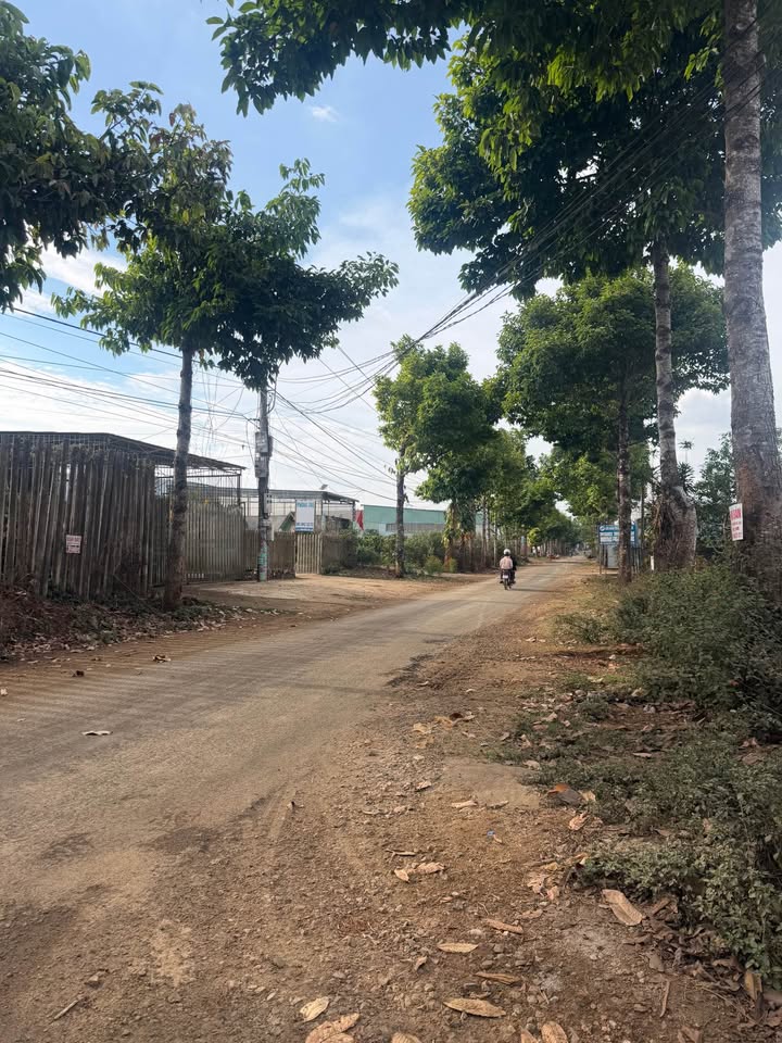 Bán Đất Pleiku 175m² full thổ cư, hẻm ô tô đường Nguyễn Bá Lại - Giá chỉ 6xx triệu