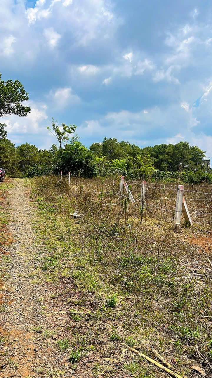 Bán Đất Hẻm 34 Ký Con, Pleiku 117m² - Sổ Đỏ Thổ Cư