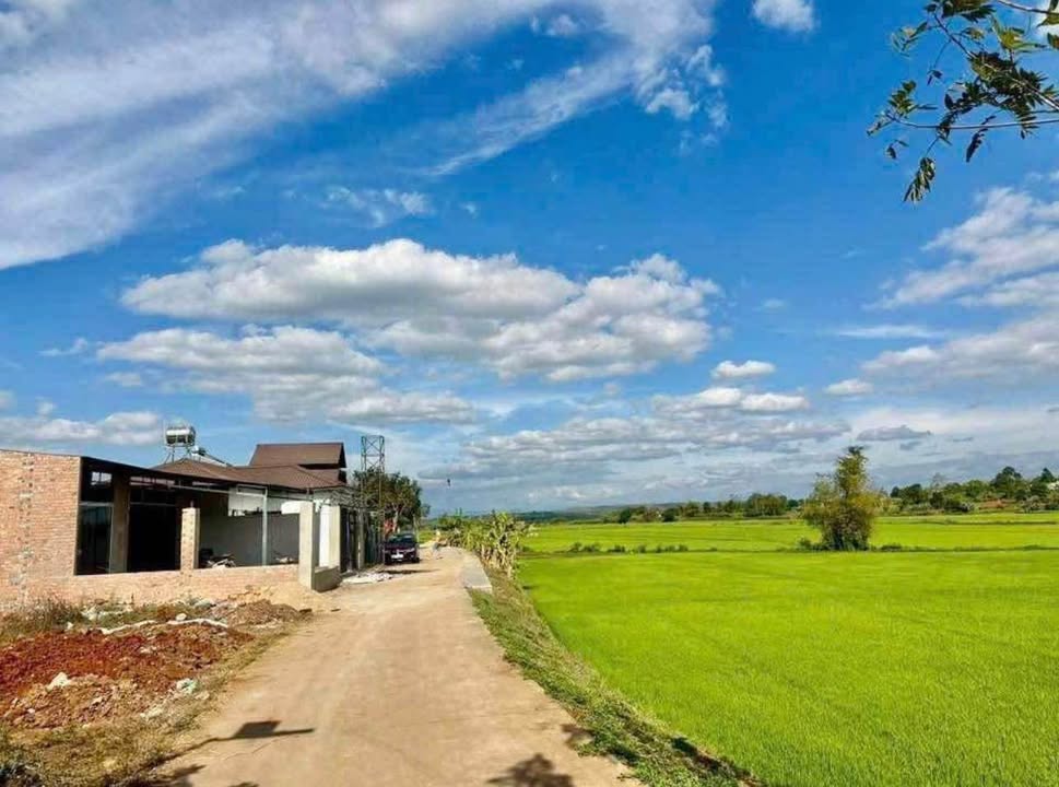 Đất Nền Pleiku 104m² Hẻm Lý Thường Kiệt - Sổ Đỏ Chính Chủ!