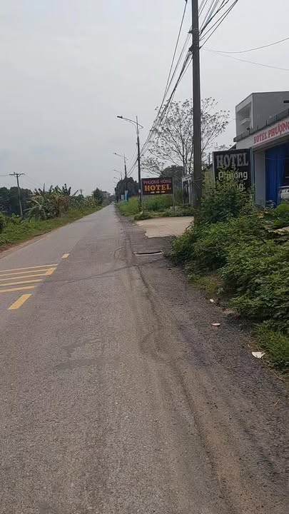 Đất đấu giá Cầu Quảng, Việt Trì - 125m² - Kinh doanh/Ở