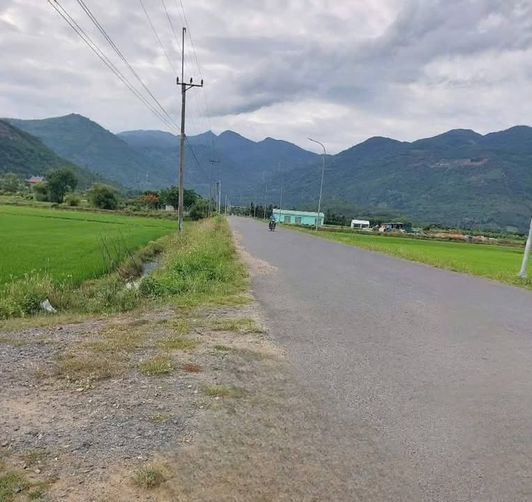 Đất nền Lúa Diên Điền 905m² - Giá F0 chỉ 180 triệu