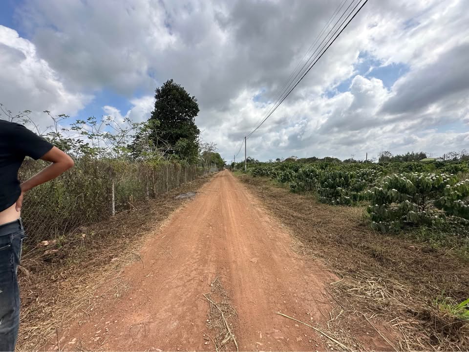 Đất Vườn Ea Kmút, Ea Kar 1ha - Nghỉ Dưỡng Lý Tưởng!