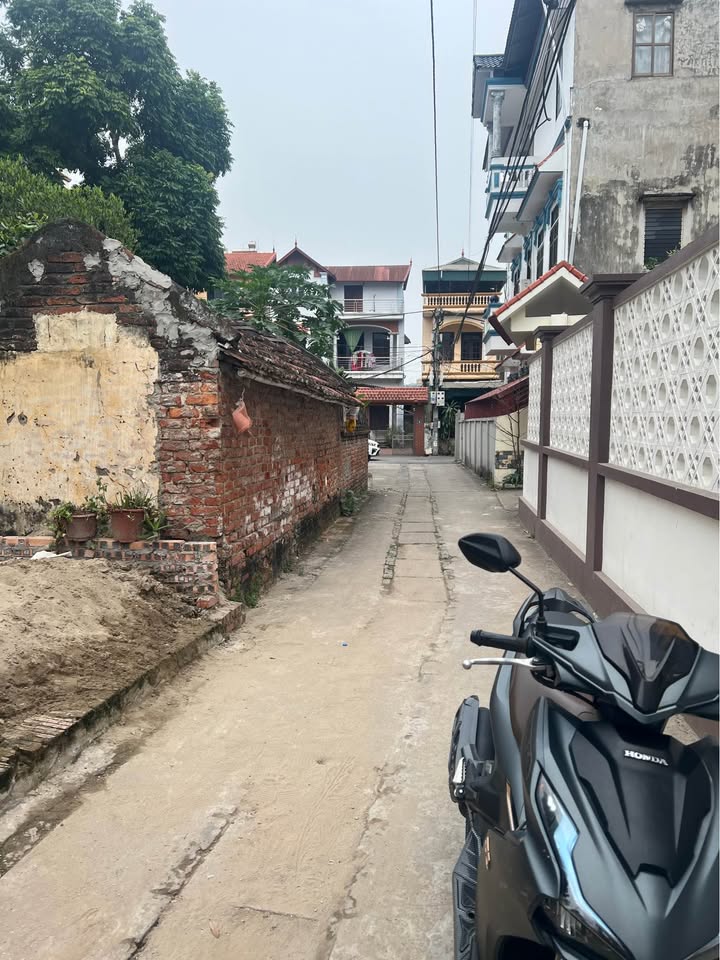 Bán Đất Sen Hồ, Thuận Thành 99.5m² - Đường Ô Tô, Gần Chợ, Giá 4.67 Tỷ