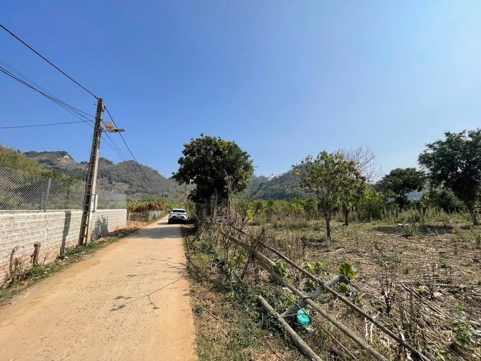 Đất nền Bản Co Pục, Chiềng Sinh 3000m² - Tiềm năng tăng giá