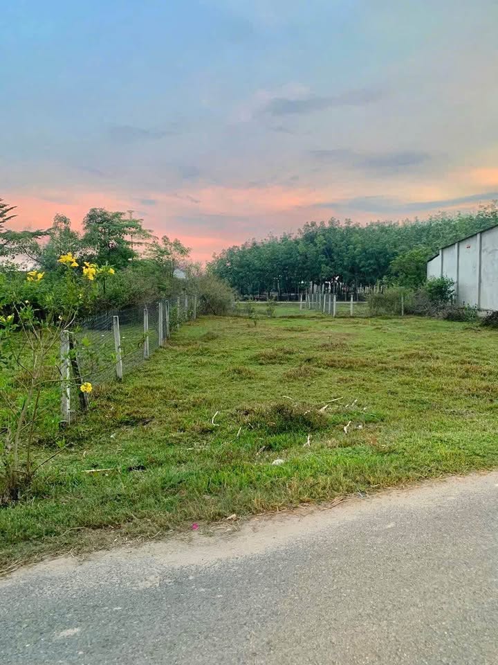 Đất nền Thanh Phước, Gò Dầu 208m² giá 1.05 tỷ - Sổ đỏ chính chủ!