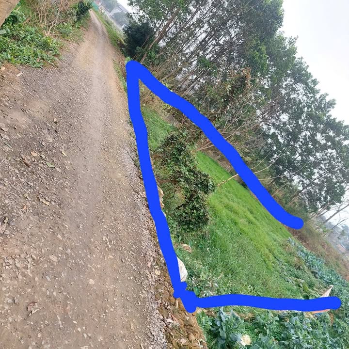 Đất ruộng Phường Quang Vinh 600m² giá tốt hiếm có