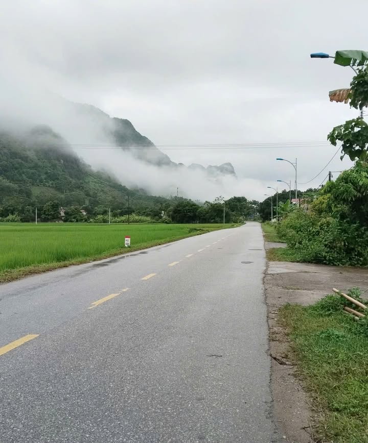 Đất Nền Quốc Lộ 1B Võ Nhai 400m² - Tiềm Năng Tăng Giá Vượt Trội!