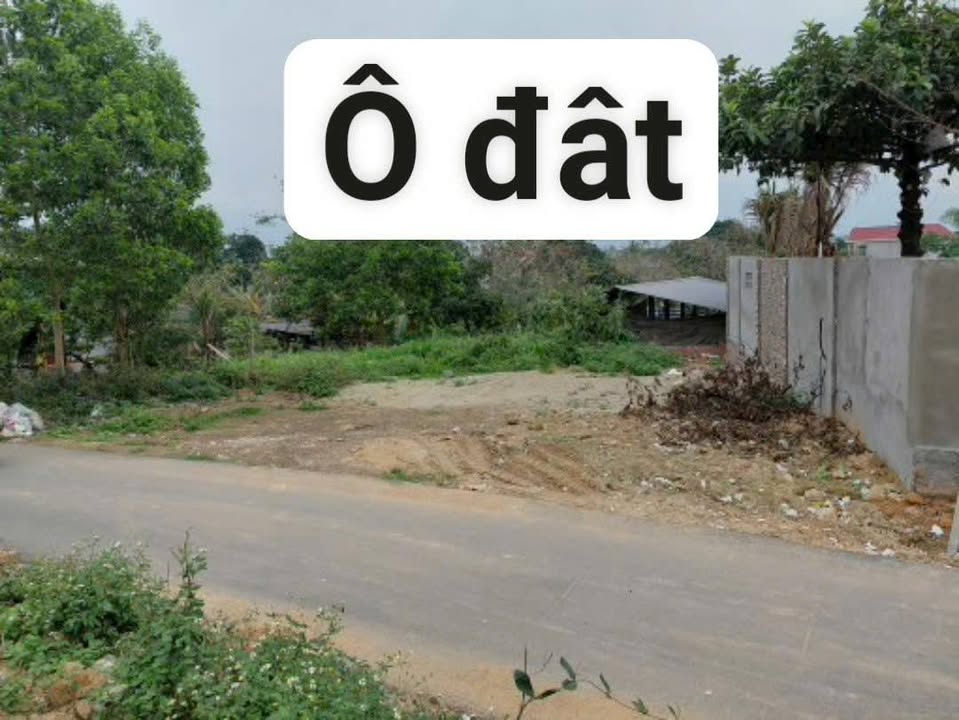 Đất nền Tam Dương, Vĩnh Phúc 95.5m² - Sổ hồng sẵn sàng sang tên