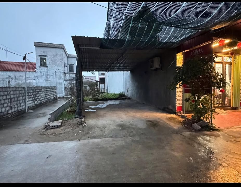 Đất nền Phượng Tường, Phù Cừ 137.5m² - Sổ đỏ chính chủ, tiềm năng tăng giá!