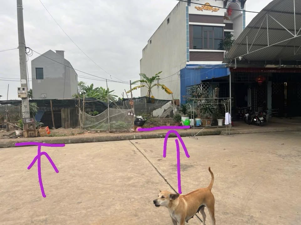 Đất nền Thiện Phiến Tiên Lữ 98m² - Sổ đỏ chính chủ