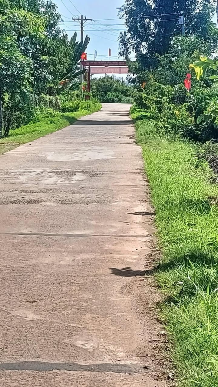 Đất nền Buôn Trấp Krông A Na 160m² 279 triệu - Sổ đỏ chính chủ!