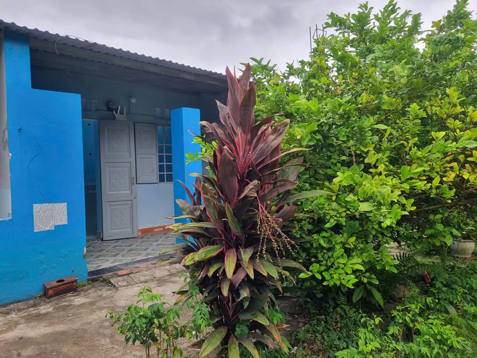 Nhà nguyên căn 1PN đường Hoàng Minh Thảo, Đà Nẵng - Giá 2.8 triệu/tháng