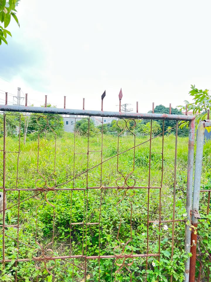 Đất Vĩnh Phúc 1600m² trung tâm Lập Thạch, Sổ đỏ chính chủ