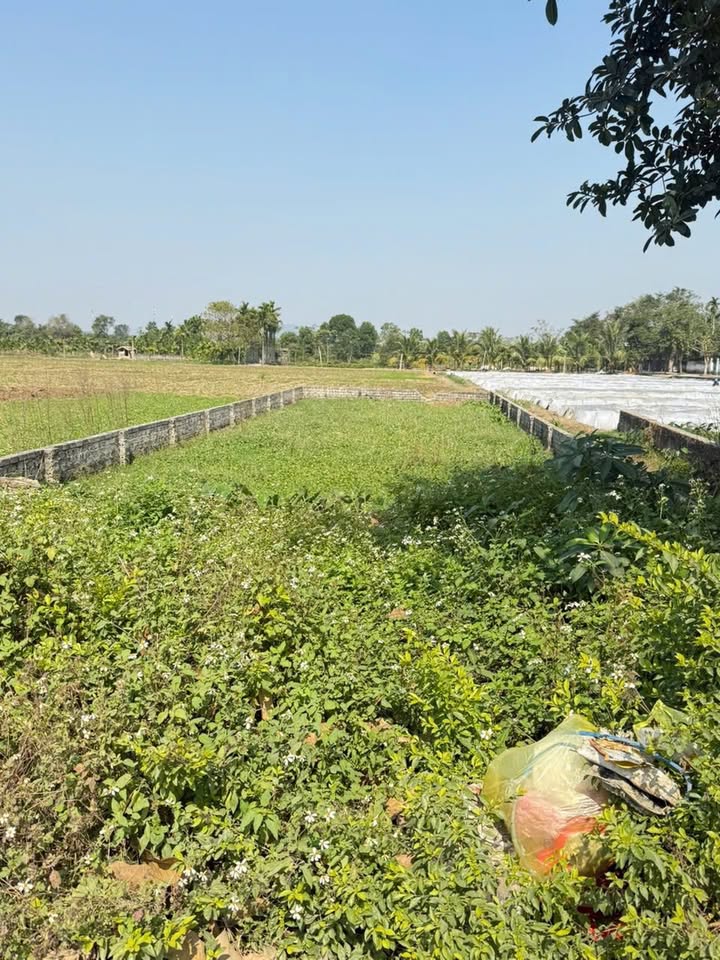 Đất nền Hoằng Xuyên 170m² - Đường ô tô 10m, xây dựng tự do!