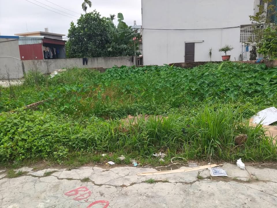 Đất nền Dương Kinh 46.4m² - Sổ đỏ chính chủ, xây dựng tự do!