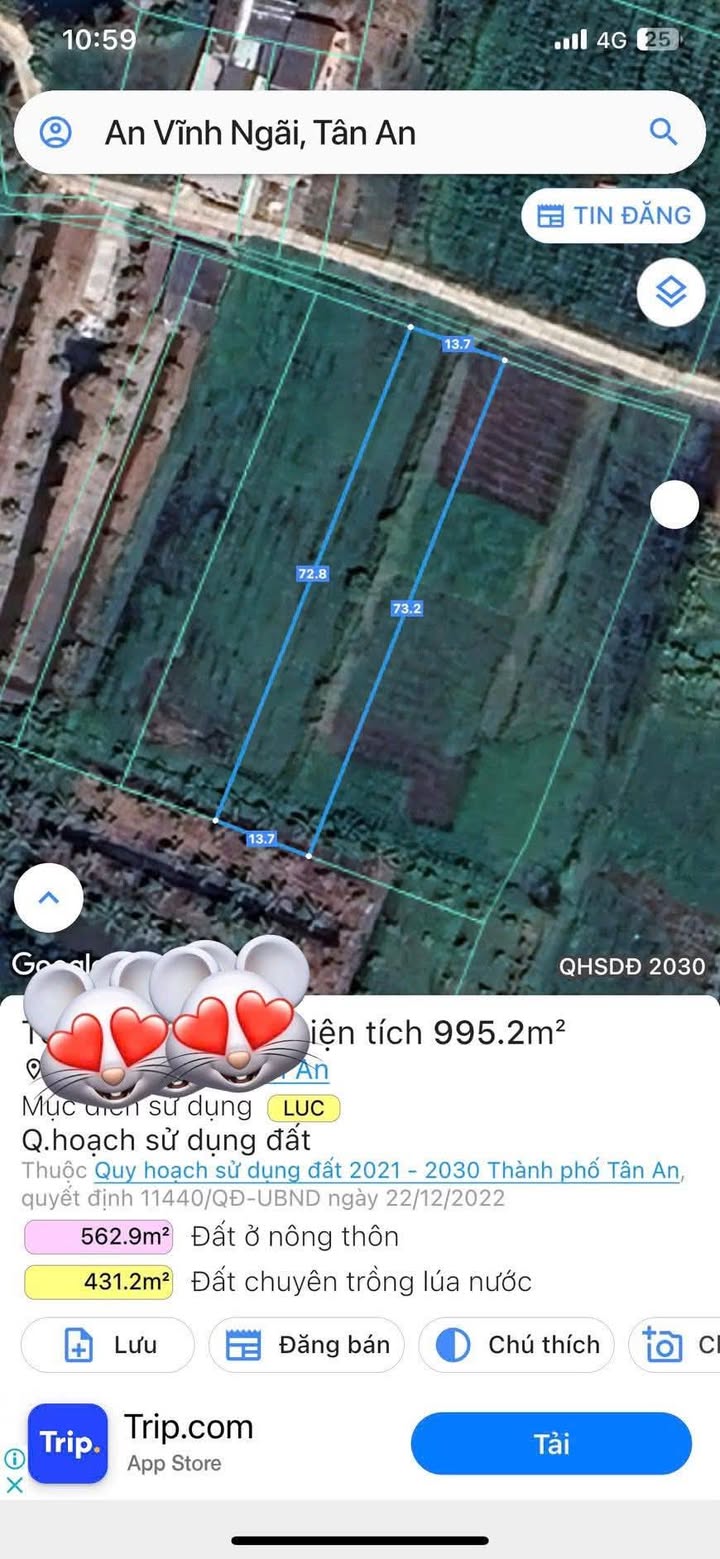 Đất nền Phường Tân An 3000m² - Tiềm năng tăng giá vượt trội!